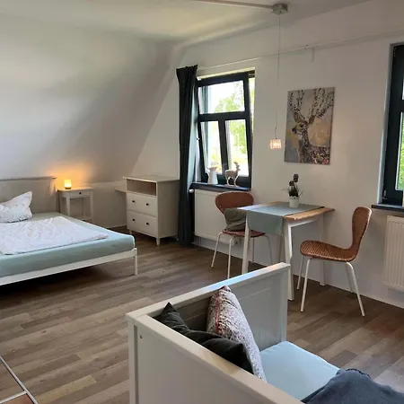 In Dargun Mit Pool Am Kummerower Apartment Barlin