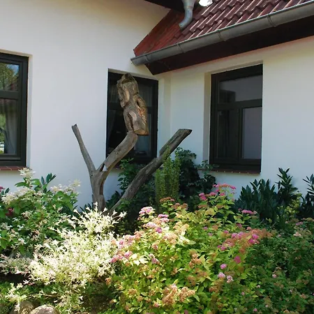 In Dargun Mit Pool Am Kummerower Διαμέρισμα *