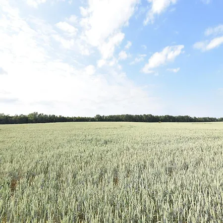 Familienferienwohnung Auf Urigem Barlin